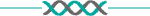 Header Divider